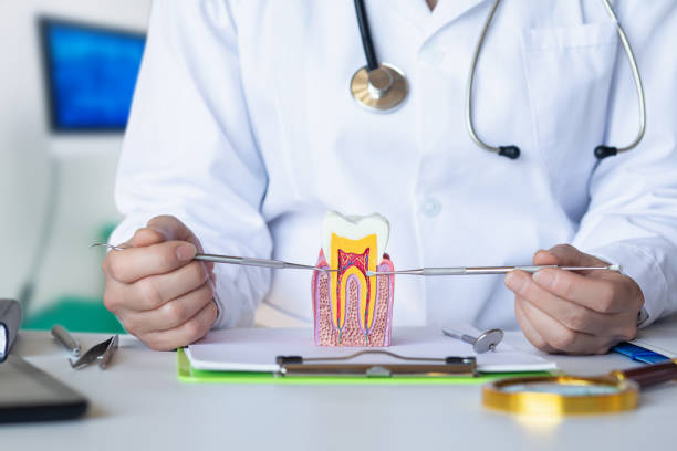 Best Root Canal Emergency Dentist  in Chesapeake Beach, MD